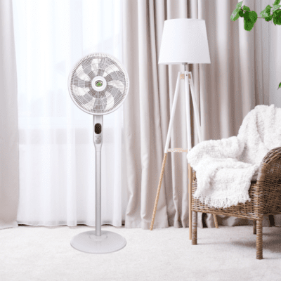 Wall and Pedestal Fans
